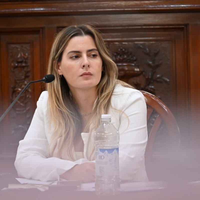 Cattalini: "La legitimidad de la Corte se construye con participaci&oacute;n ciudadana"